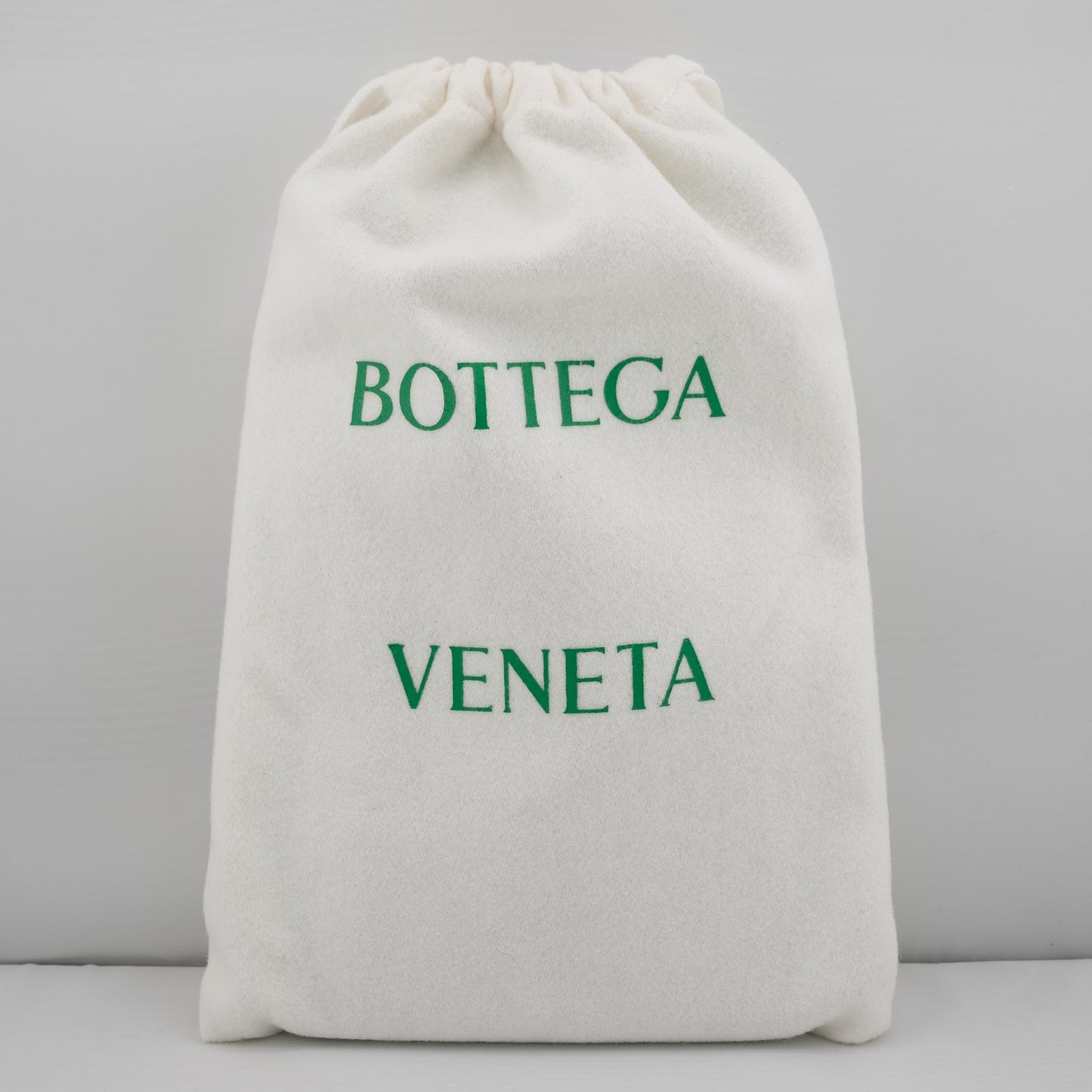 Bottega Veneta Interratio Long Wallet NWT Parakeet